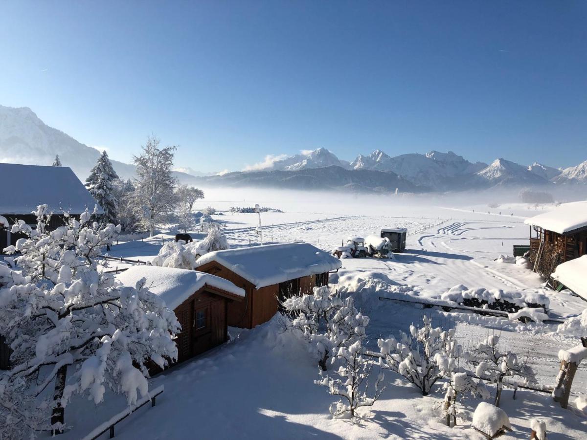 Gaestehaus Seeklause 3*