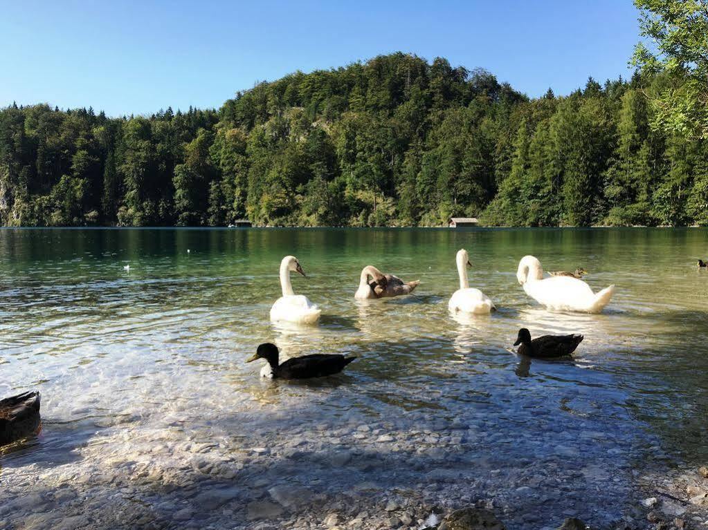 Gaestehaus Seeklause Guest house Schwangau